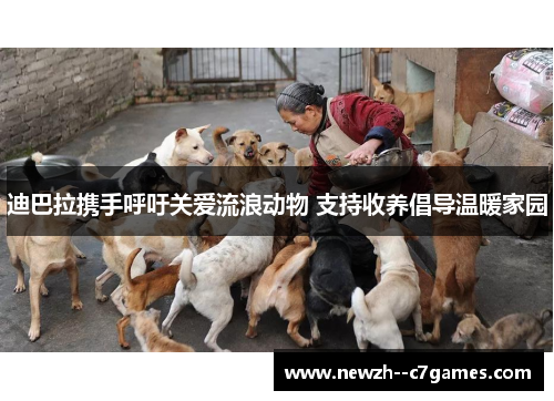 迪巴拉携手呼吁关爱流浪动物 支持收养倡导温暖家园